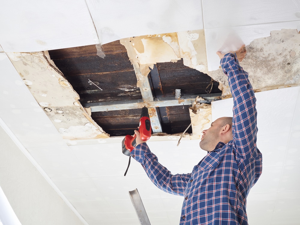 Verkauf Altbau Zusicherung Einer Dachsanierung Beweislast